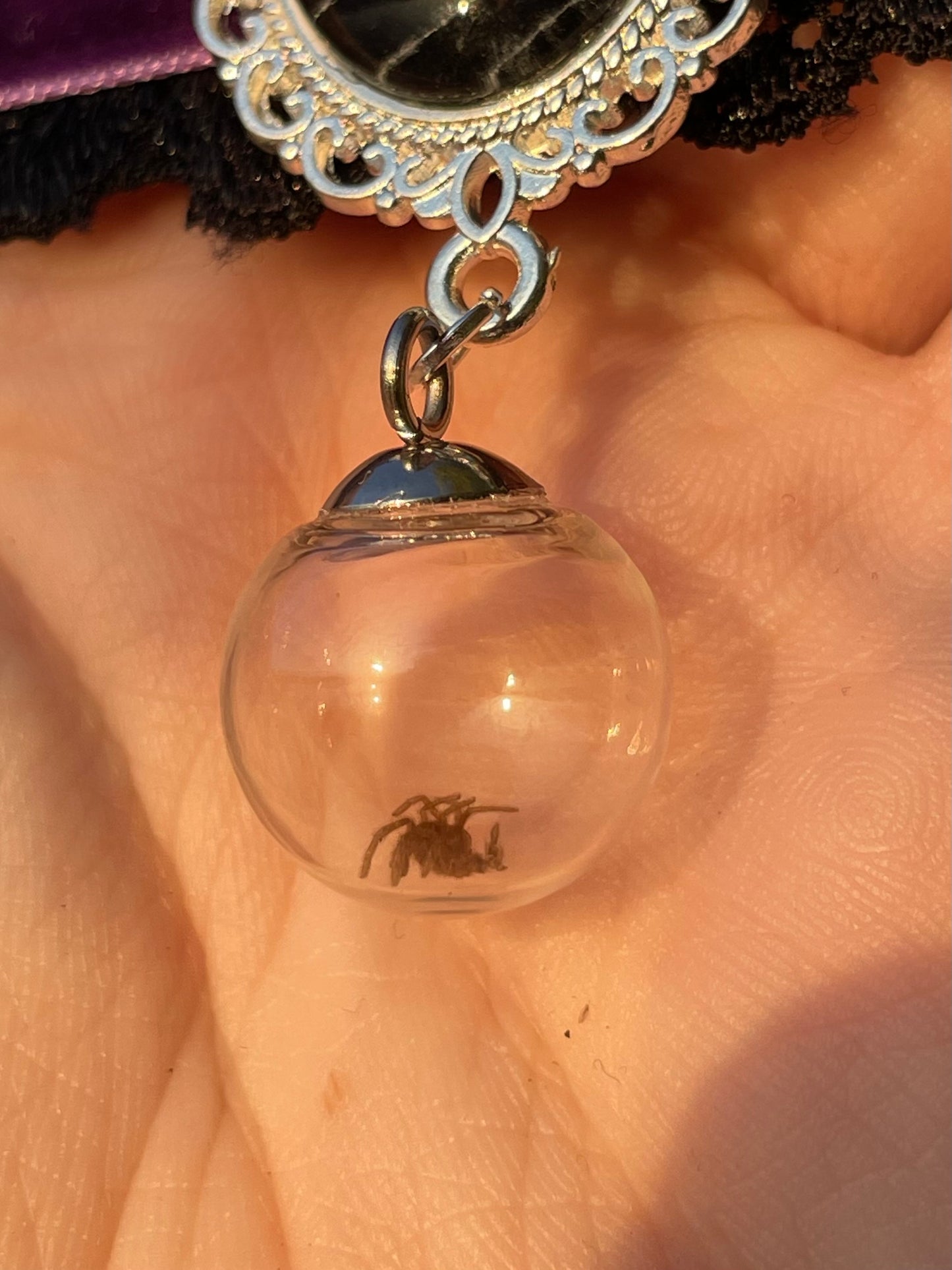 Real Spiderweb and Tarantula Molt Chokers