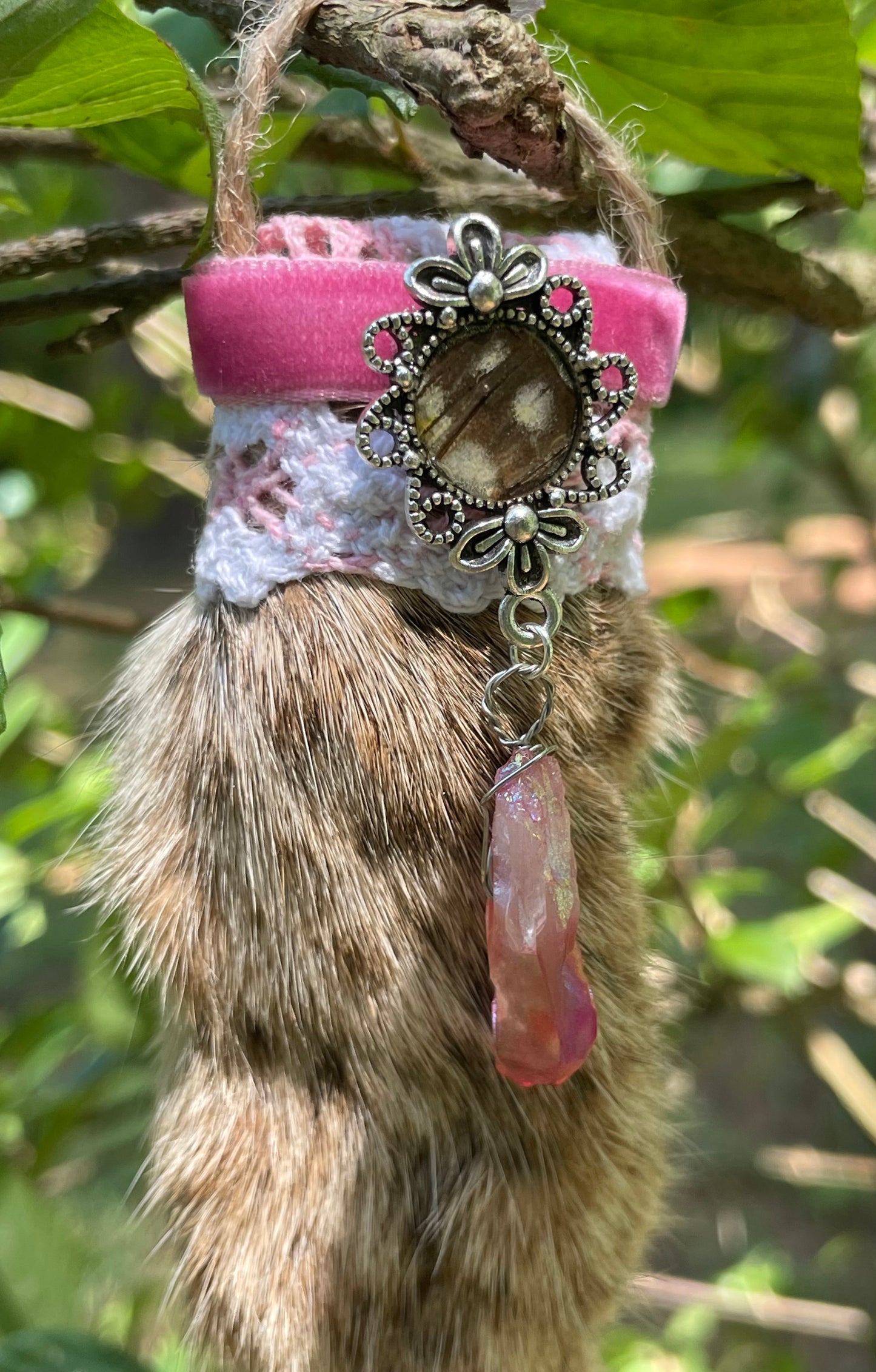 Mummified Bobcat Paw Ornament with Preserved Butterfly Wing Charm