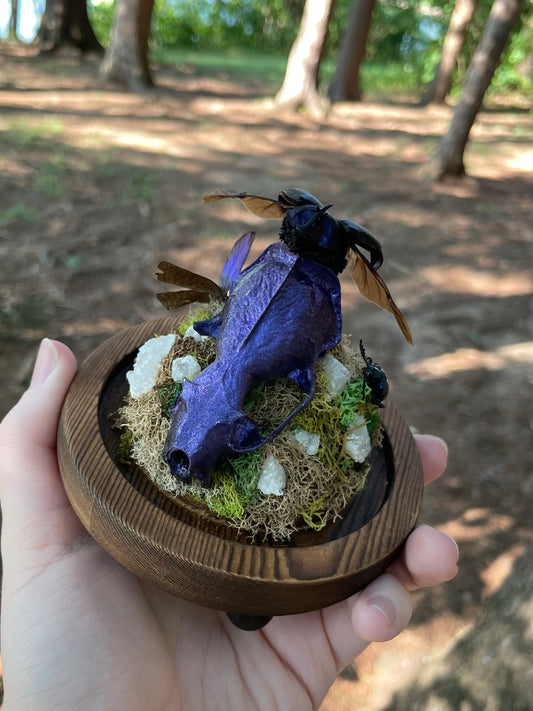 Iridescent Mink Skull, Beetle, and Butterfly Geode Cloche Display
