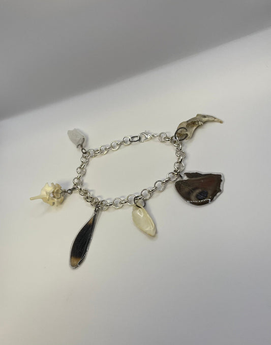 Oddity Charm Bracelet with Rodent Mandible, Butterfly Wings, Python Vertebra, and Seashell