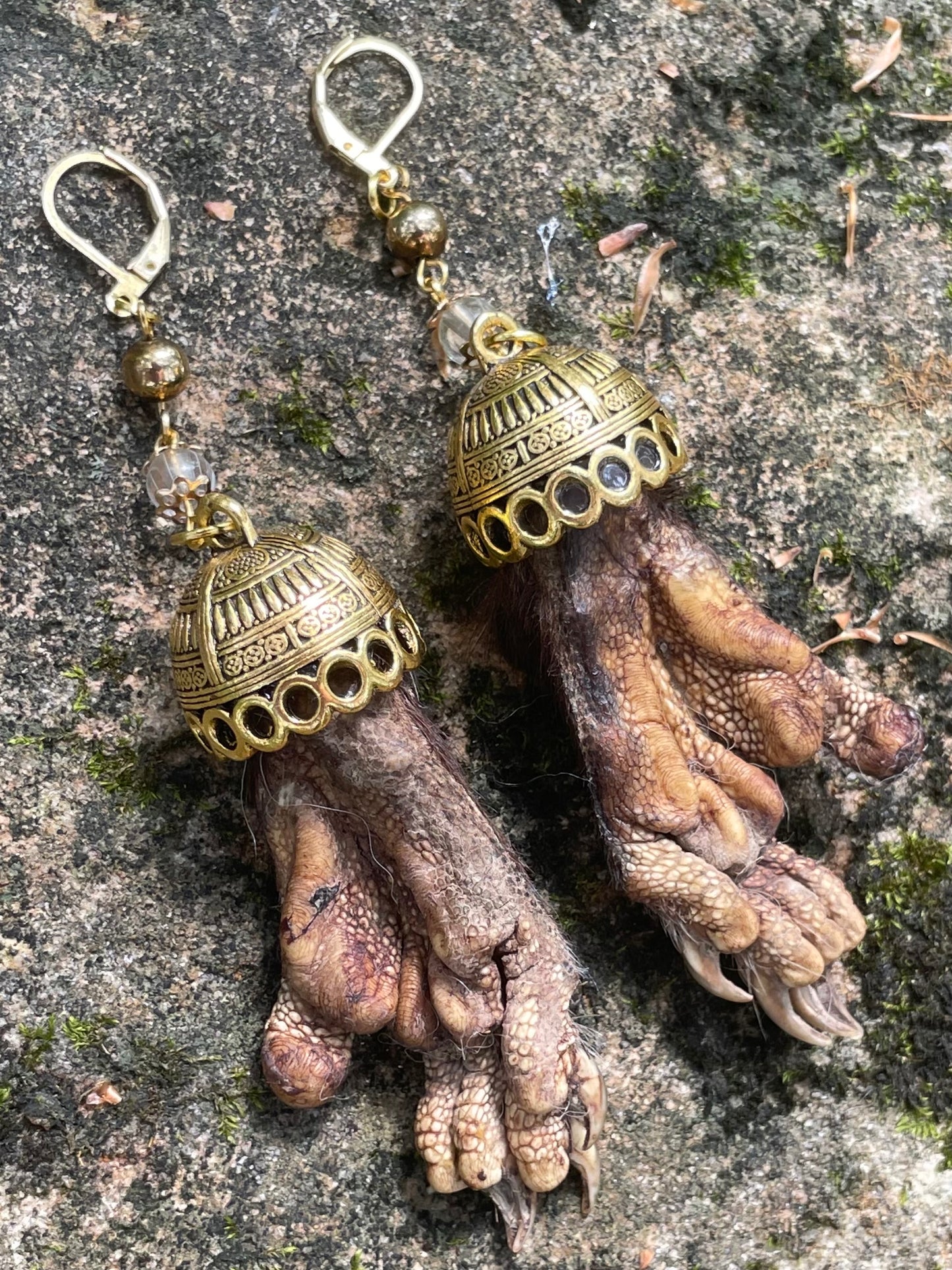 Mummified Opossum Paw Earrings