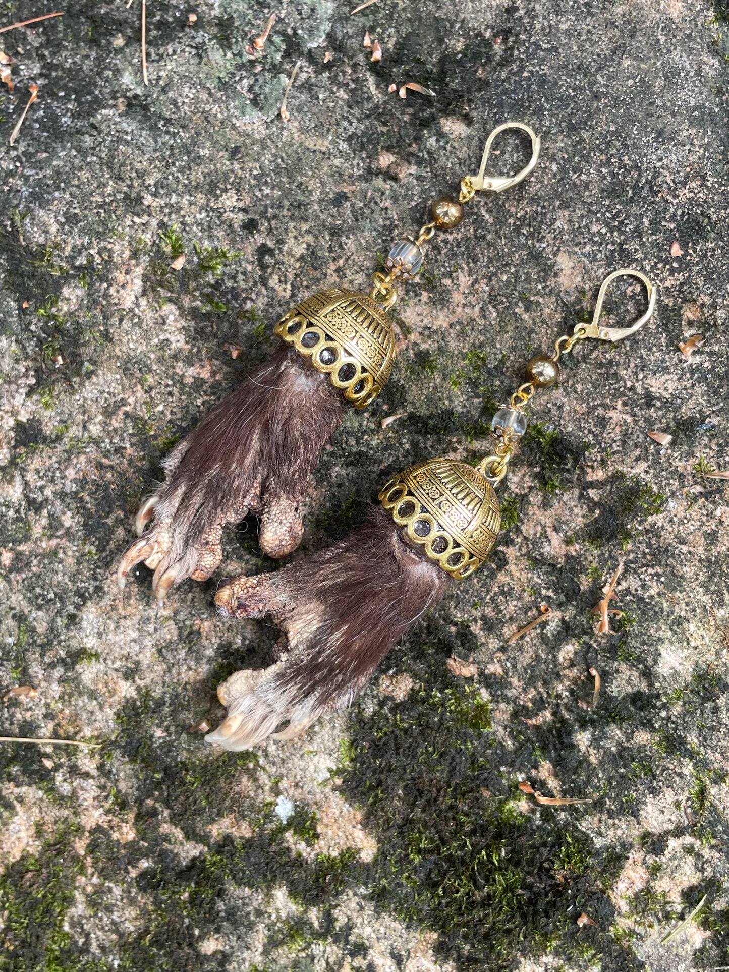 Mummified Opossum Paw Earrings