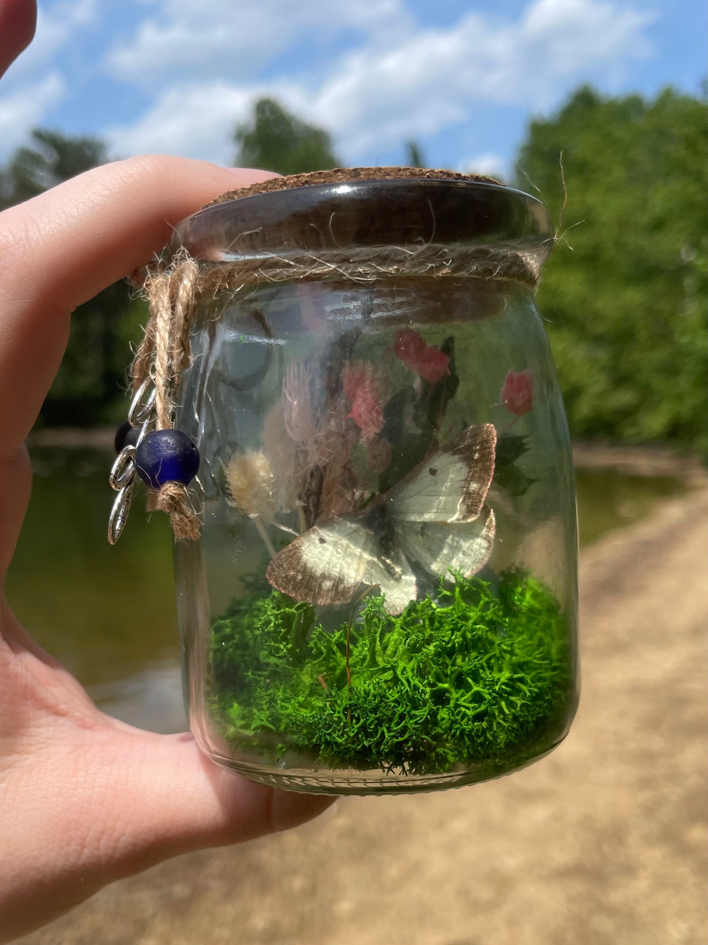 Green Flourite Butterfly Jar Displays