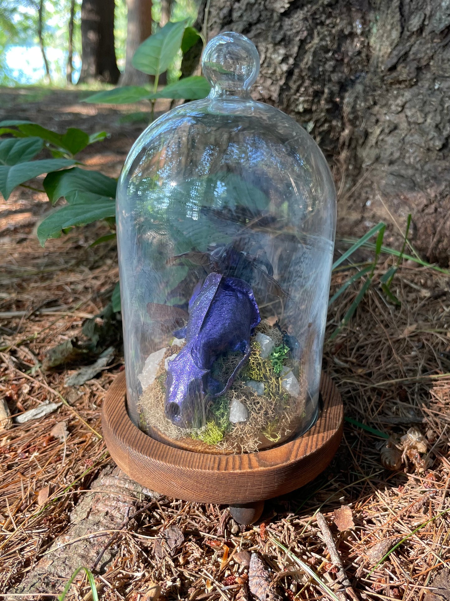 Iridescent Mink Skull, Beetle, and Butterfly Geode Cloche Display