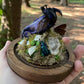 Iridescent Mink Skull, Beetle, and Butterfly Geode Cloche Display