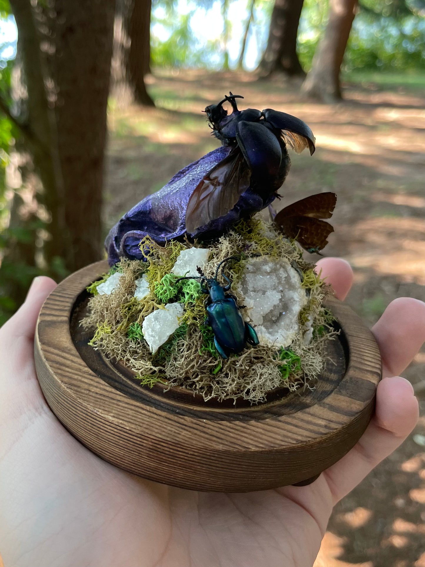 Iridescent Mink Skull, Beetle, and Butterfly Geode Cloche Display