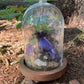 Iridescent Mink Skull, Beetle, and Butterfly Geode Cloche Display