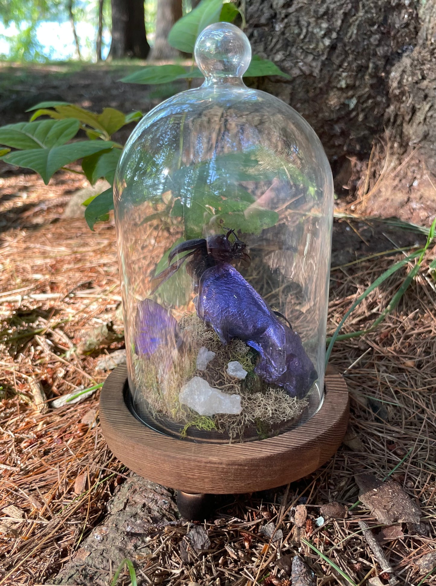 Iridescent Mink Skull, Beetle, and Butterfly Geode Cloche Display