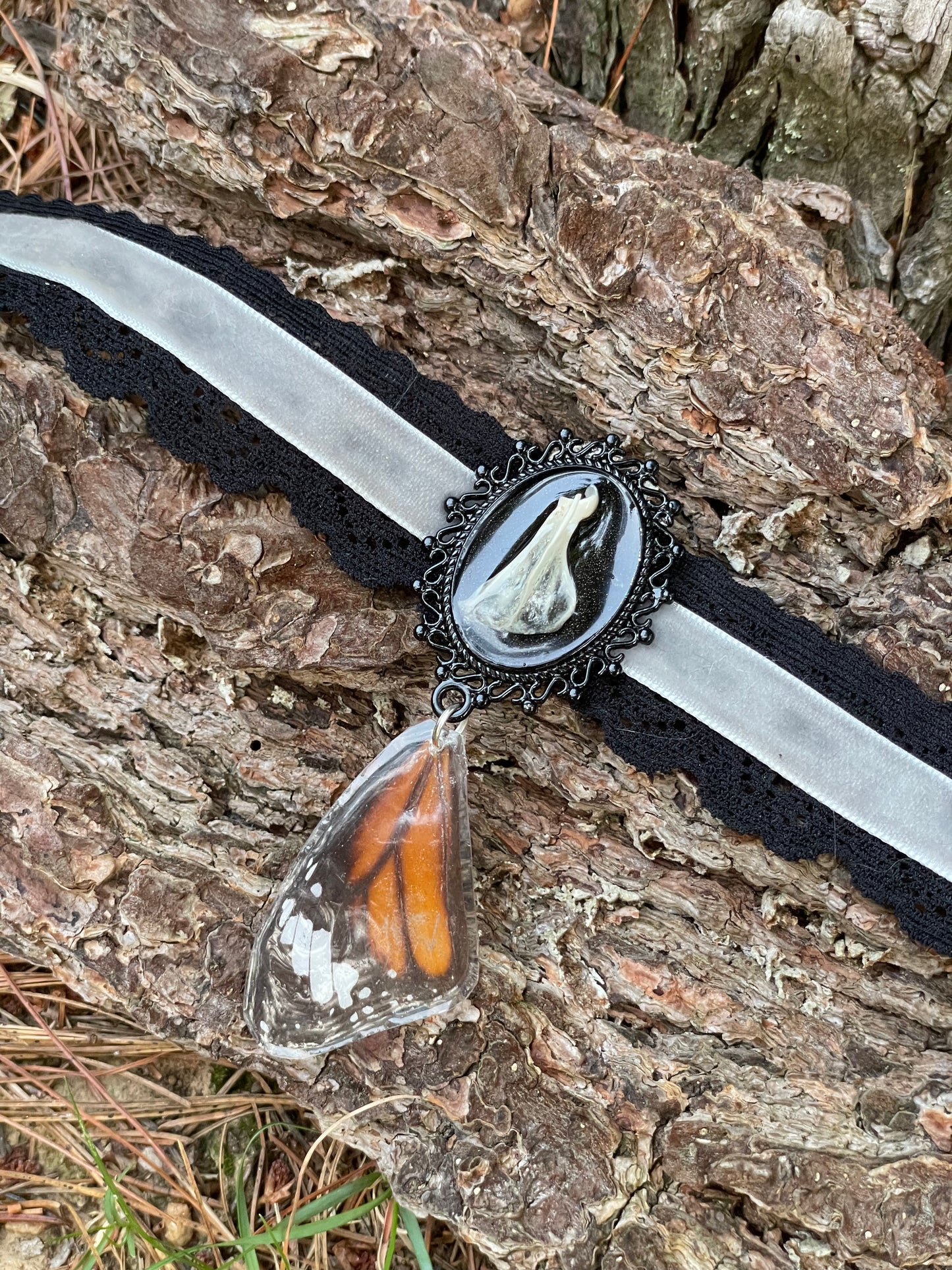 Vole Scapula Bone and Butterfly Wing Choker Necklace