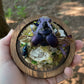 Iridescent Mink Skull, Beetle, and Butterfly Geode Cloche Display