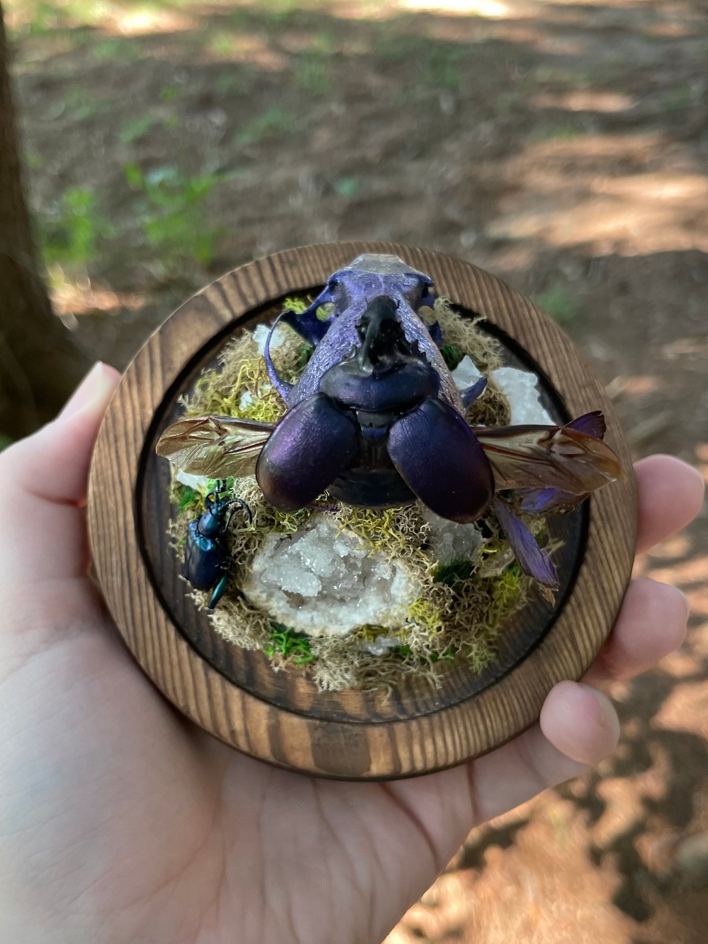 Iridescent Mink Skull, Beetle, and Butterfly Geode Cloche Display