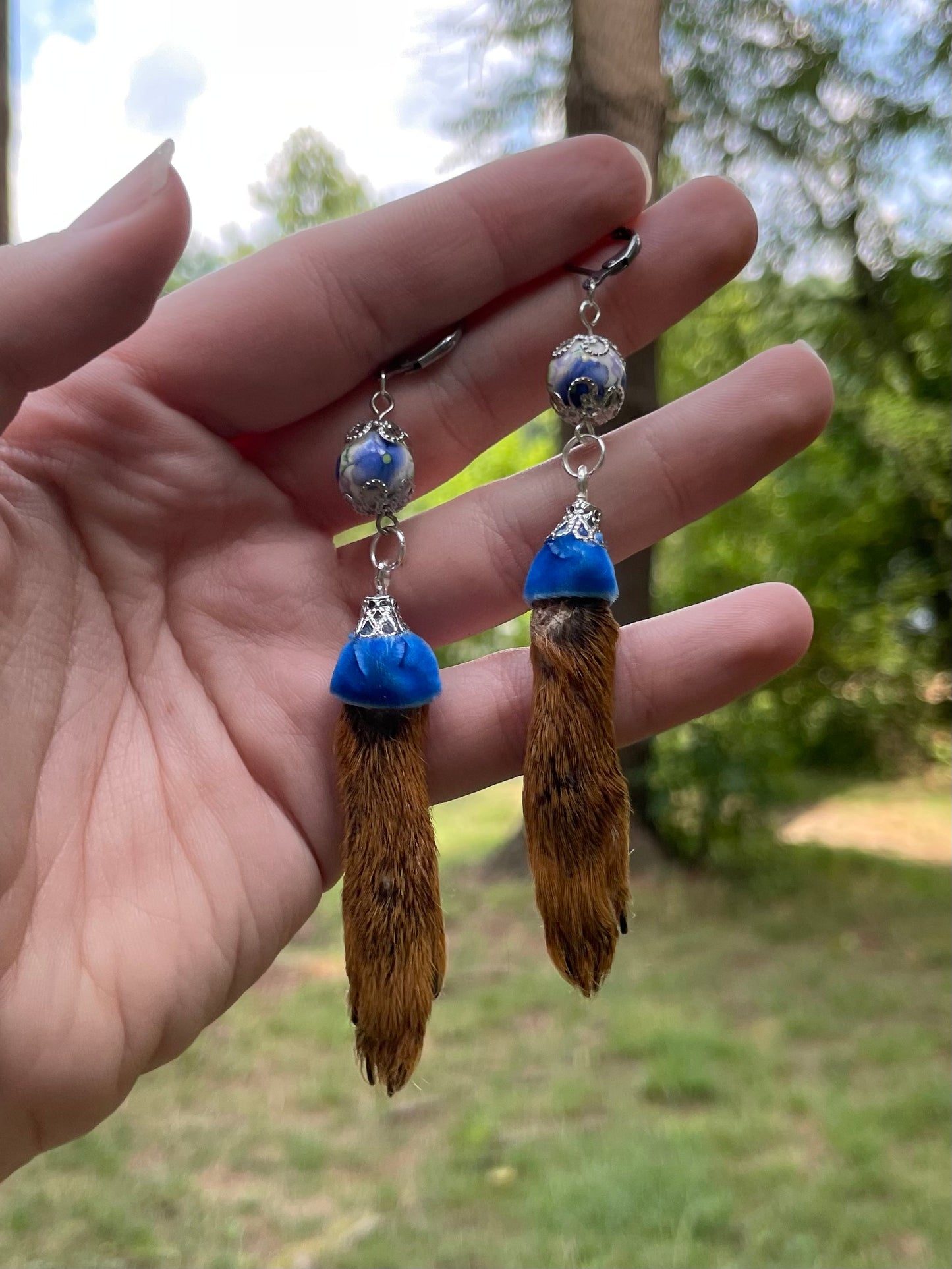 Royal Blue Mummified Red Squirrel Paw Earrings