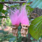 Mini Troll Doll Earrings (Multiple Colors)