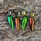 Jewel Beetle Elytra Ear Cuffs