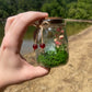 Green Flourite Butterfly Jar Displays