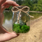 Green Flourite Butterfly Jar Displays