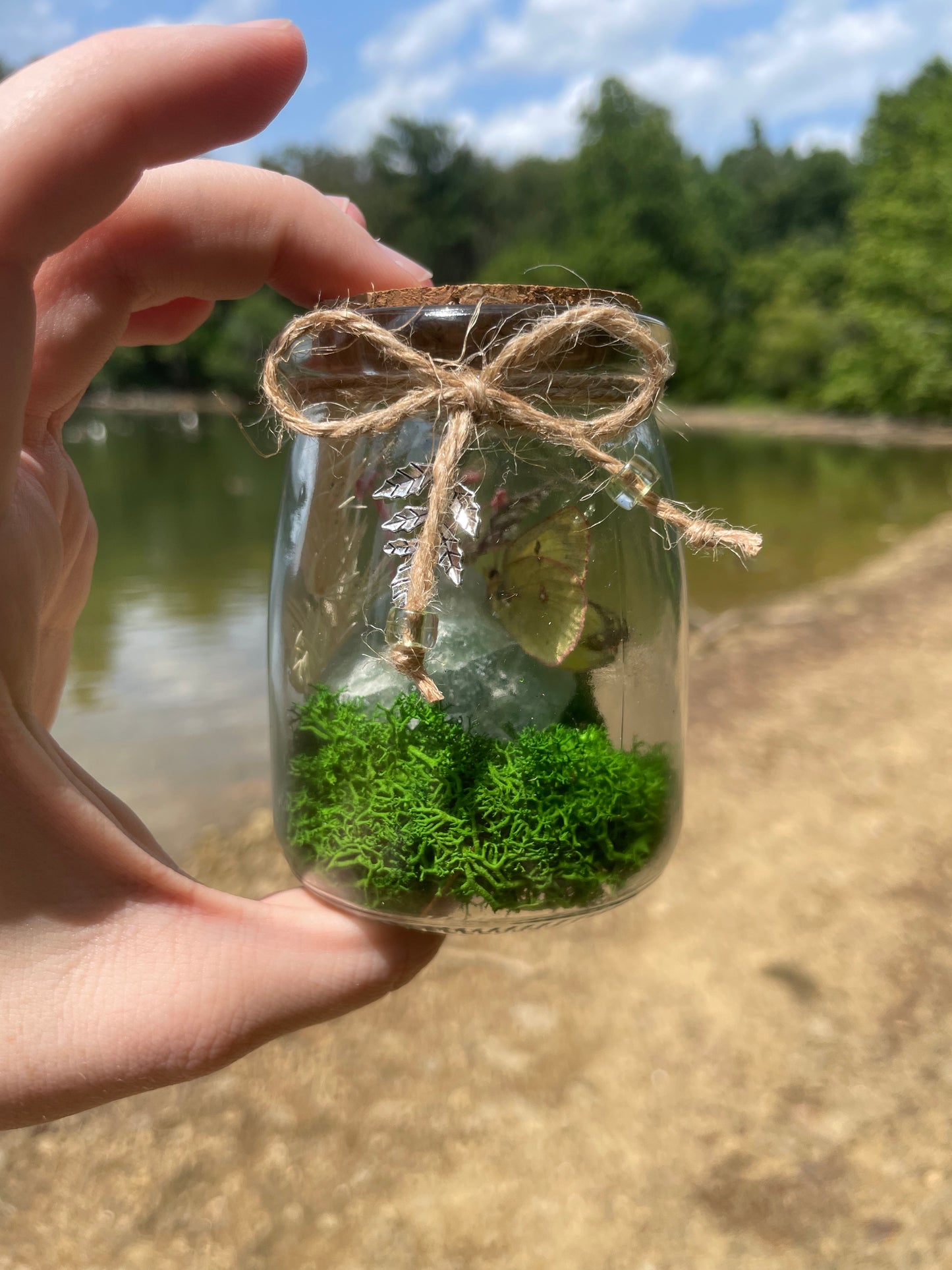 Green Flourite Butterfly Jar Displays