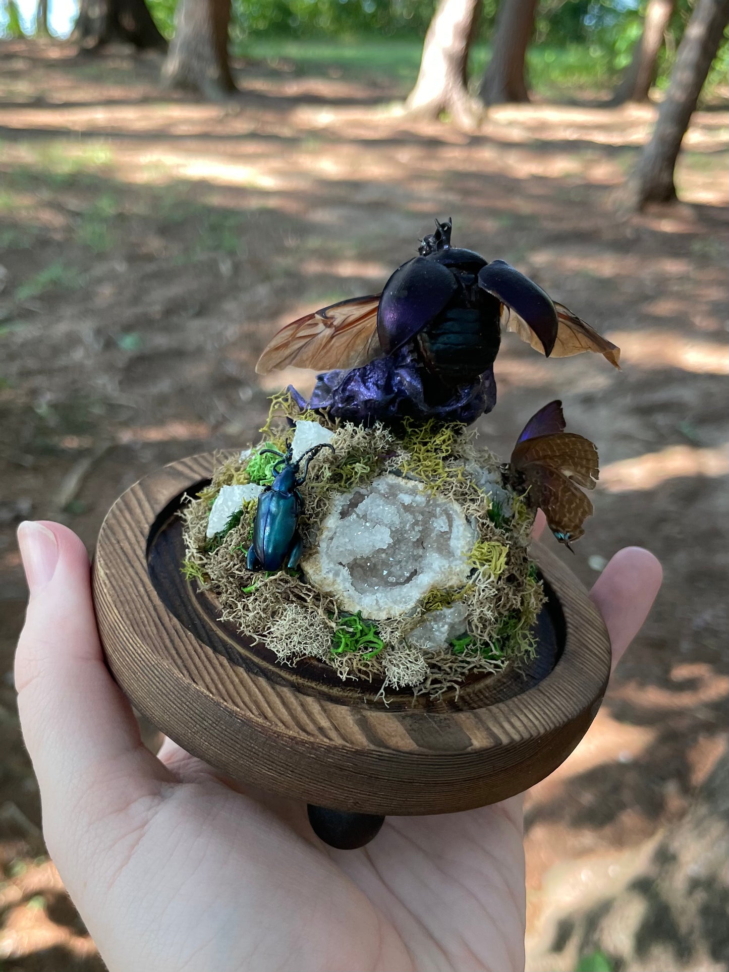 Iridescent Mink Skull, Beetle, and Butterfly Geode Cloche Display