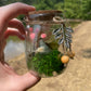 Green Flourite Butterfly Jar Displays