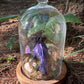 Iridescent Mink Skull, Beetle, and Butterfly Geode Cloche Display