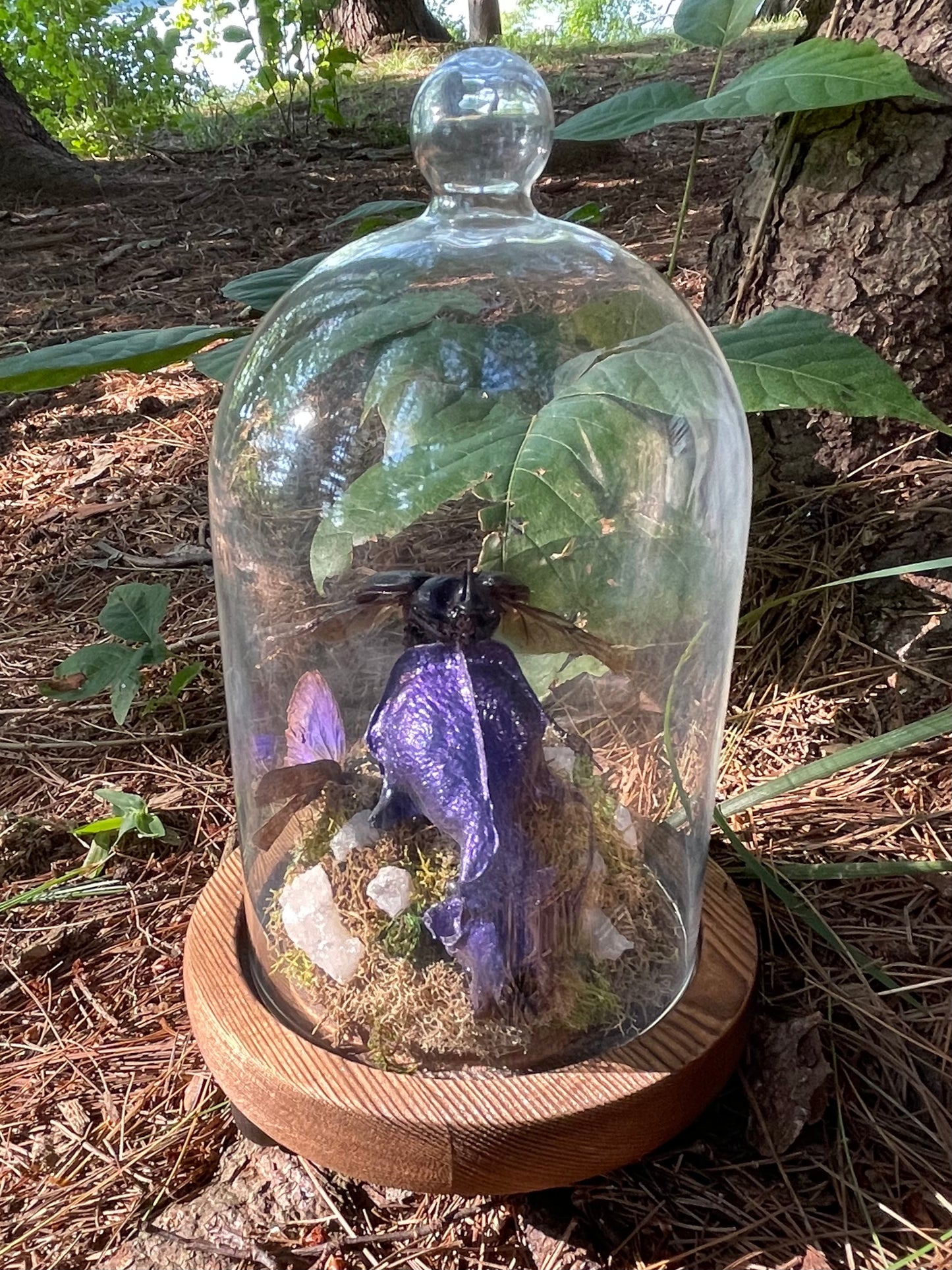 Iridescent Mink Skull, Beetle, and Butterfly Geode Cloche Display