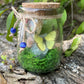 Green Flourite Butterfly Jar Displays