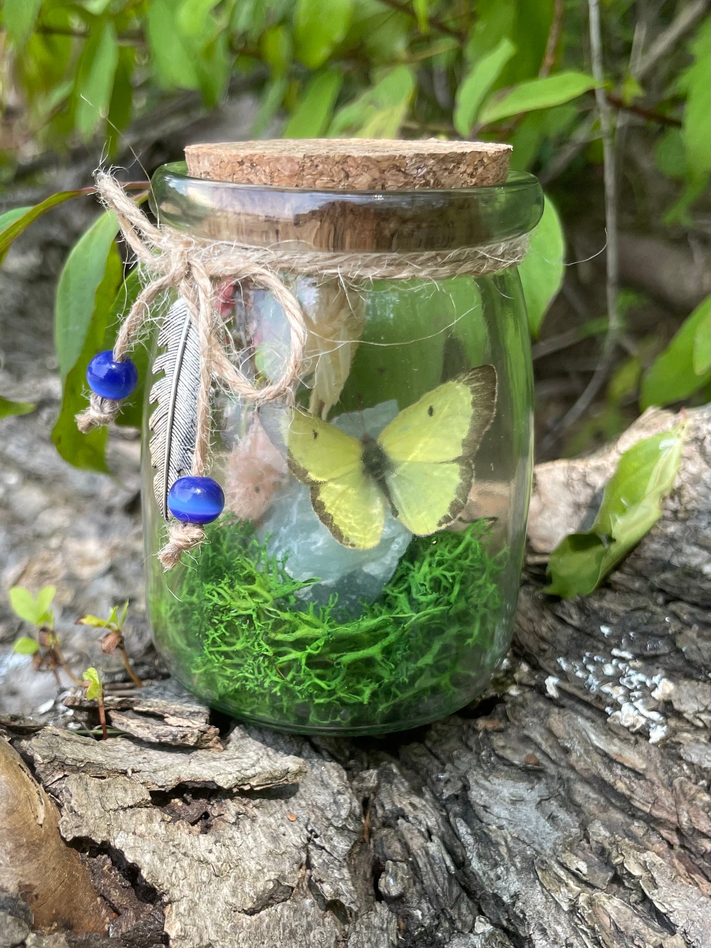 Green Flourite Butterfly Jar Displays