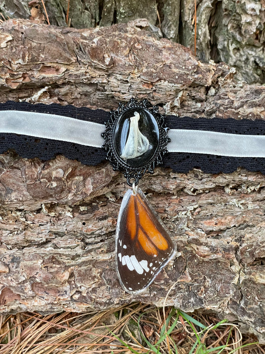 Vole Scapula Bone and Butterfly Wing Choker Necklace