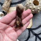 Variety Oddity Box with Mink Paw, Turkey Bone, Snake Shed