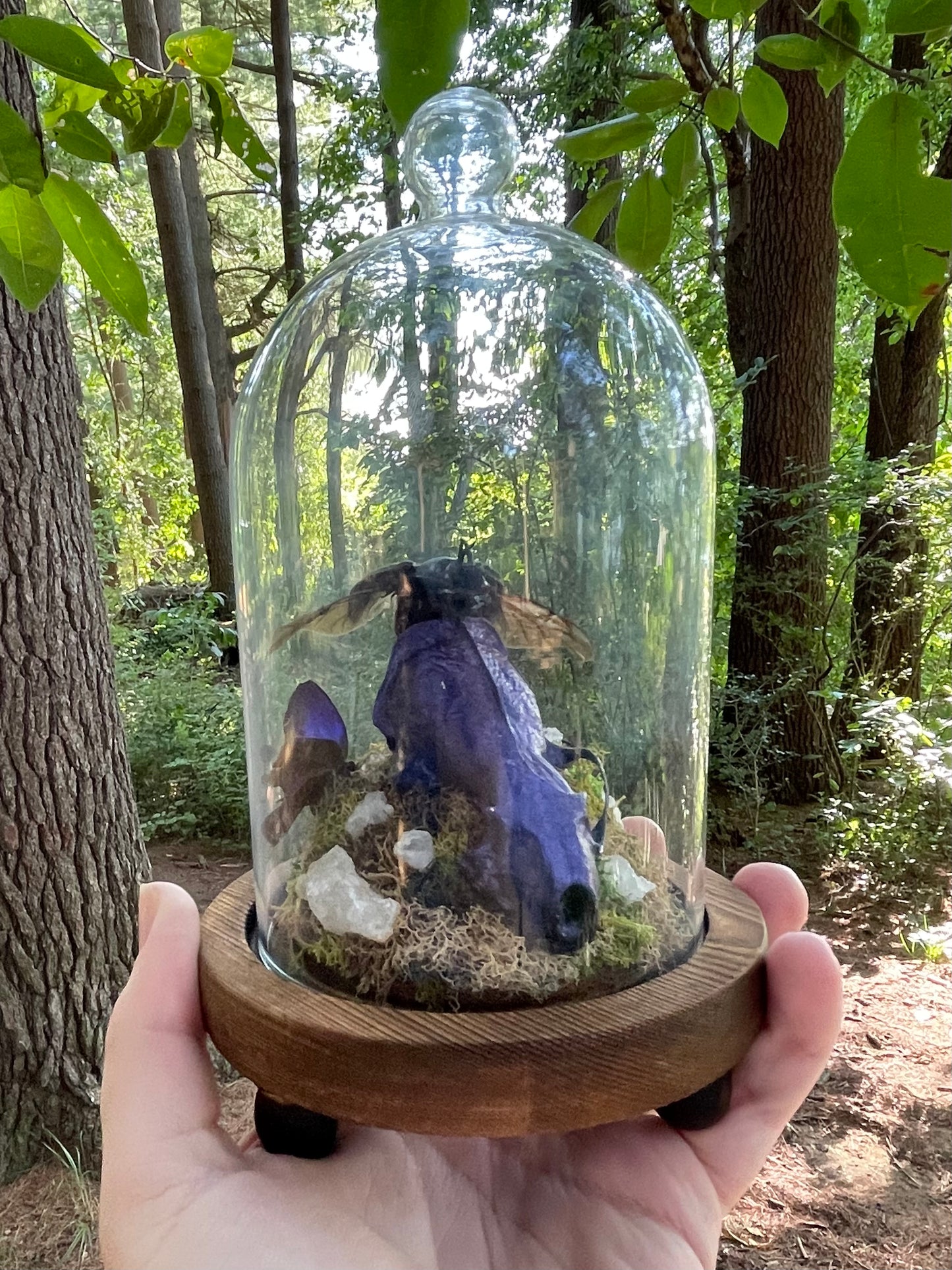 Iridescent Mink Skull, Beetle, and Butterfly Geode Cloche Display