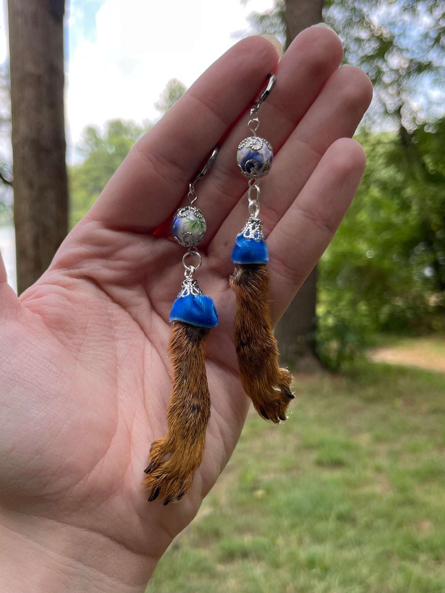 Royal Blue Mummified Red Squirrel Paw Earrings