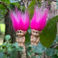 Mini Troll Doll Earrings (Multiple Colors)