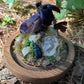 Iridescent Mink Skull, Beetle, and Butterfly Geode Cloche Display