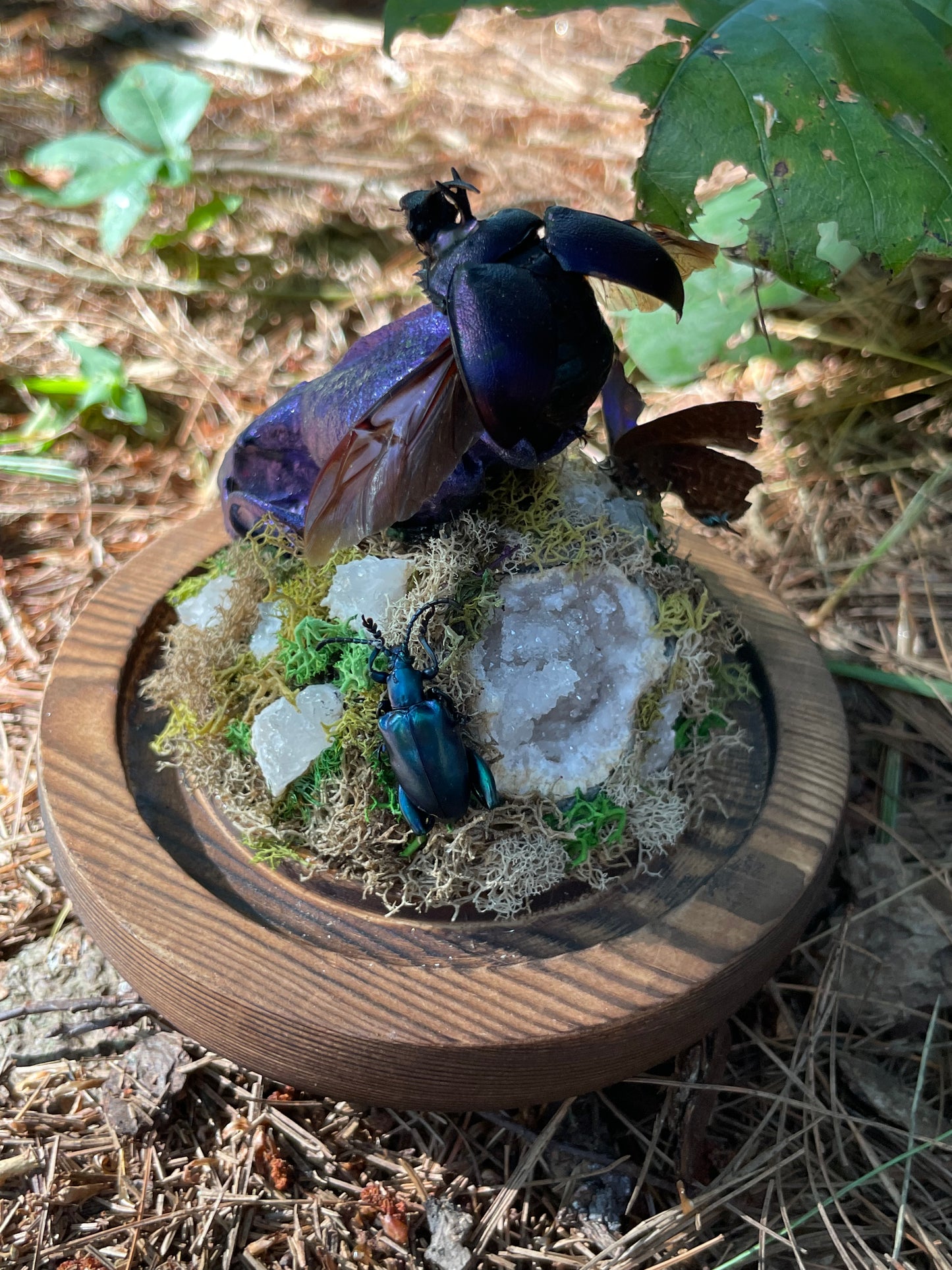 Iridescent Mink Skull, Beetle, and Butterfly Geode Cloche Display