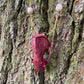 Metallic Burgundy Mink Skull Necklace