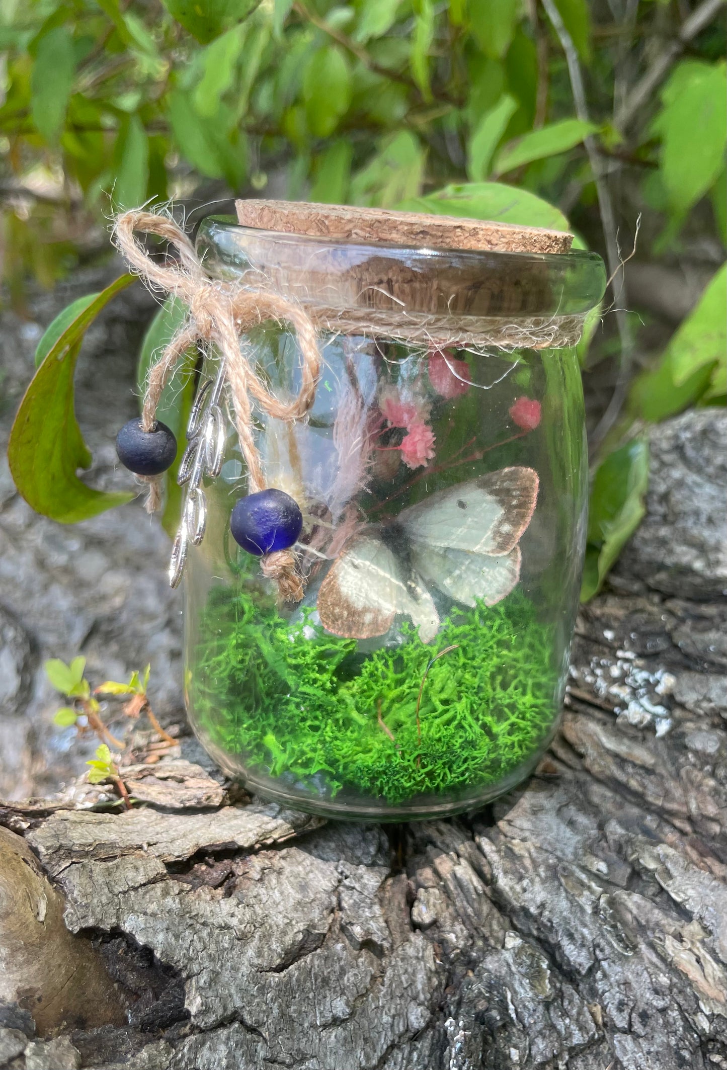 Green Flourite Butterfly Jar Displays