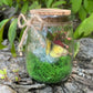 Green Flourite Butterfly Jar Displays