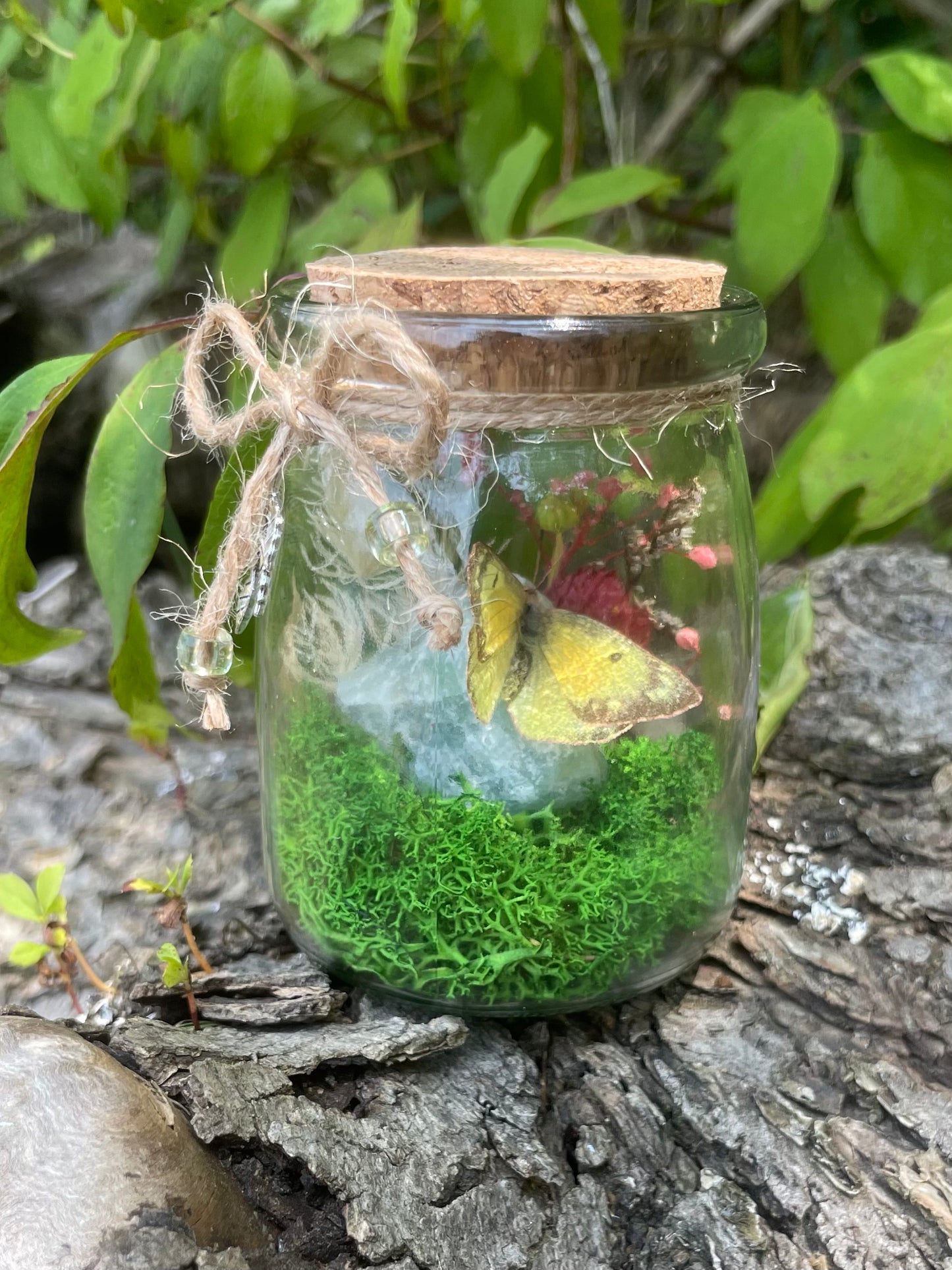 Green Flourite Butterfly Jar Displays