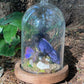 Iridescent Mink Skull, Beetle, and Butterfly Geode Cloche Display