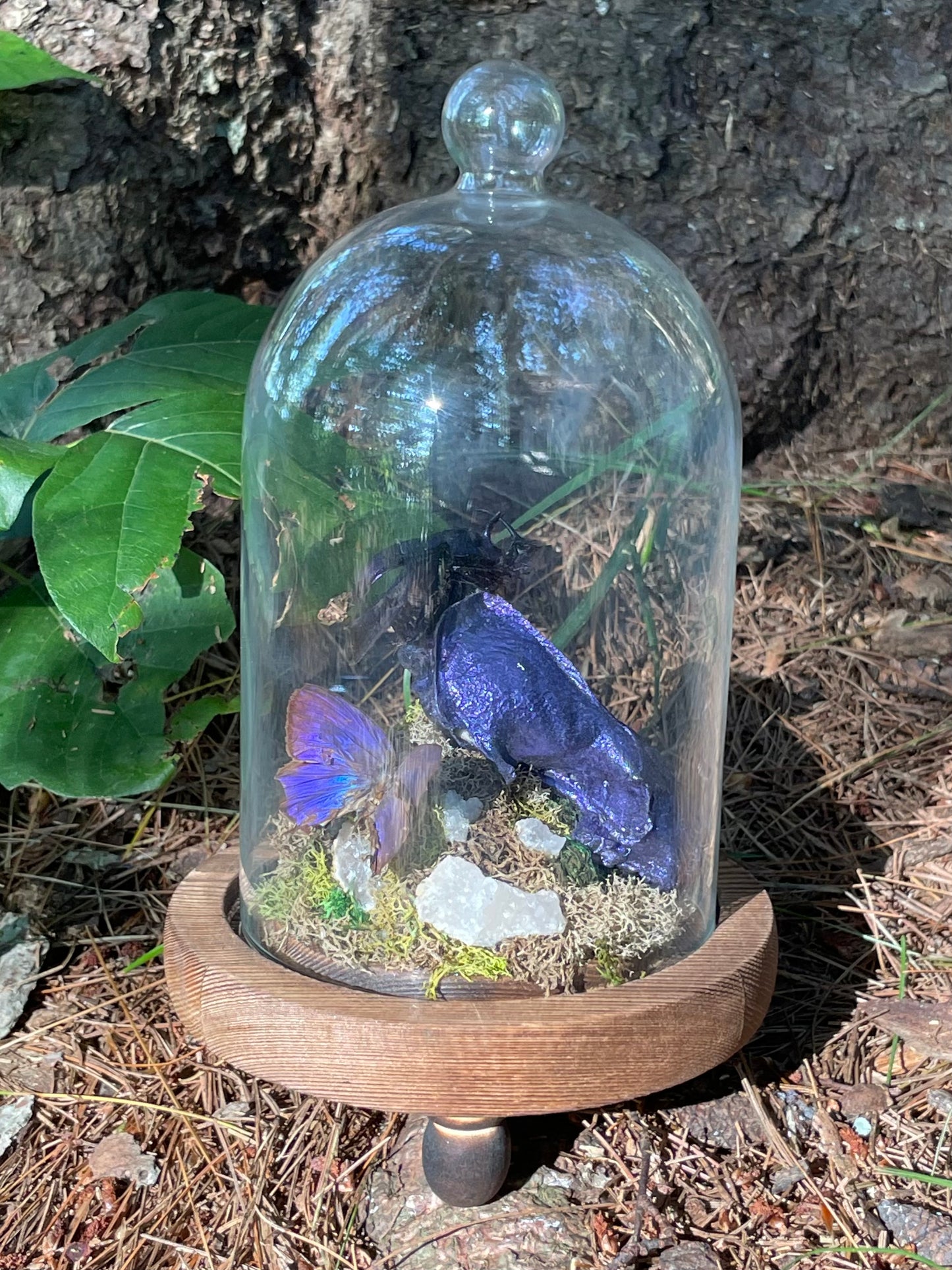 Iridescent Mink Skull, Beetle, and Butterfly Geode Cloche Display