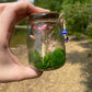 Green Flourite Butterfly Jar Displays