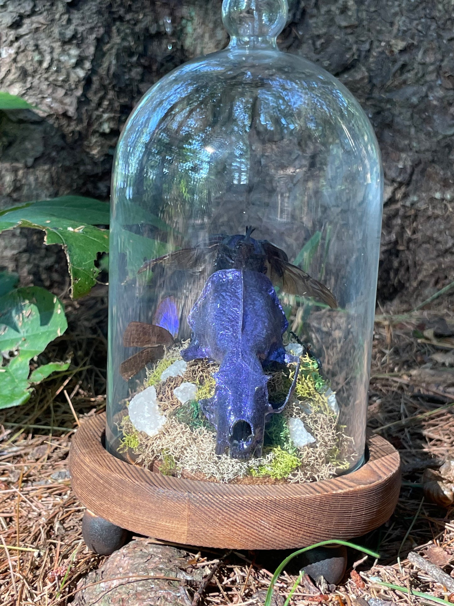 Iridescent Mink Skull, Beetle, and Butterfly Geode Cloche Display