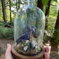 Iridescent Mink Skull, Beetle, and Butterfly Geode Cloche Display