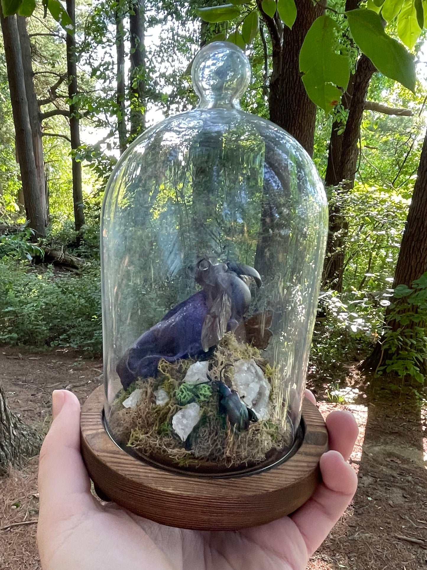 Iridescent Mink Skull, Beetle, and Butterfly Geode Cloche Display