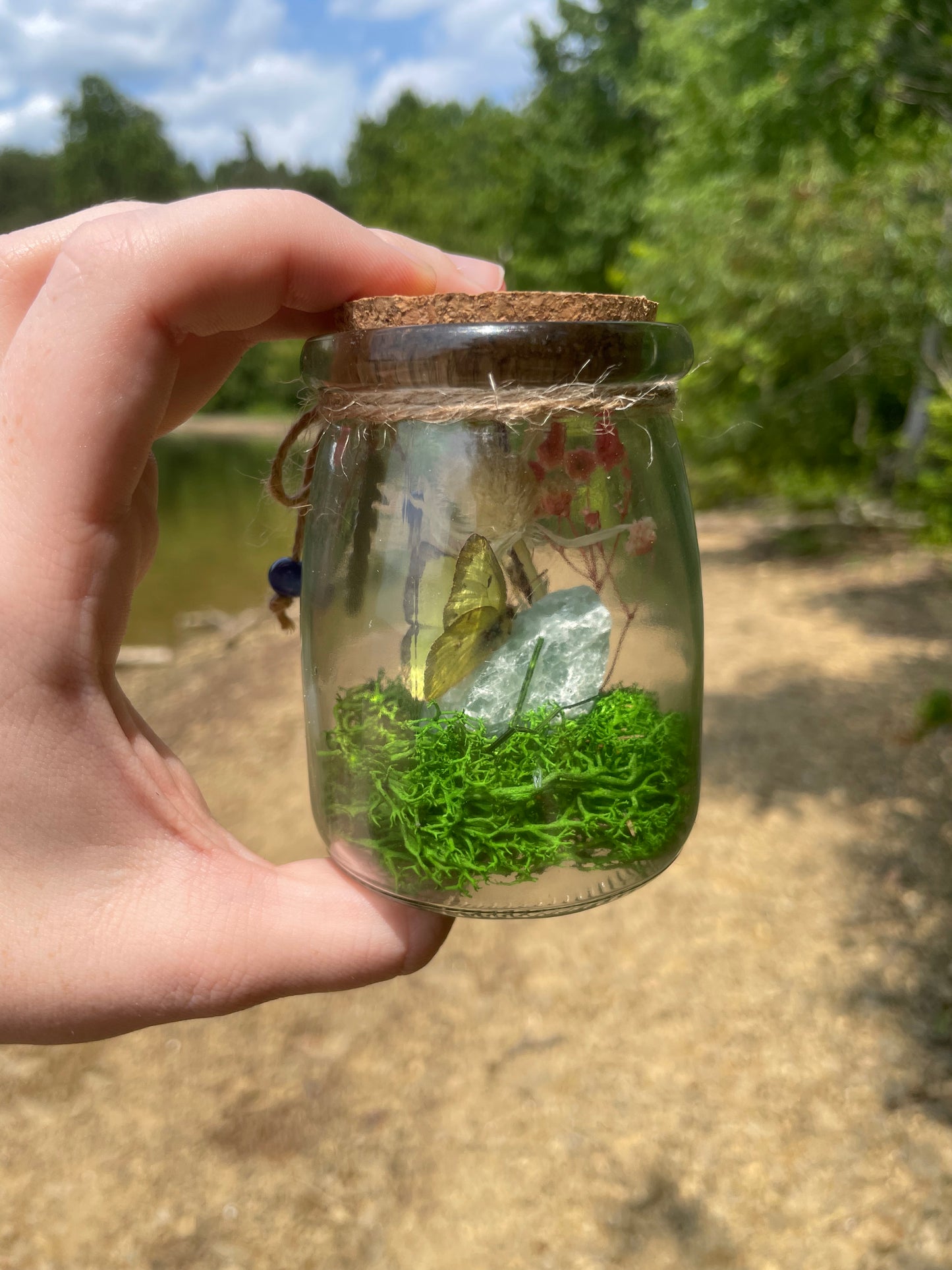 Green Flourite Butterfly Jar Displays