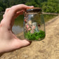 Green Flourite Butterfly Jar Displays