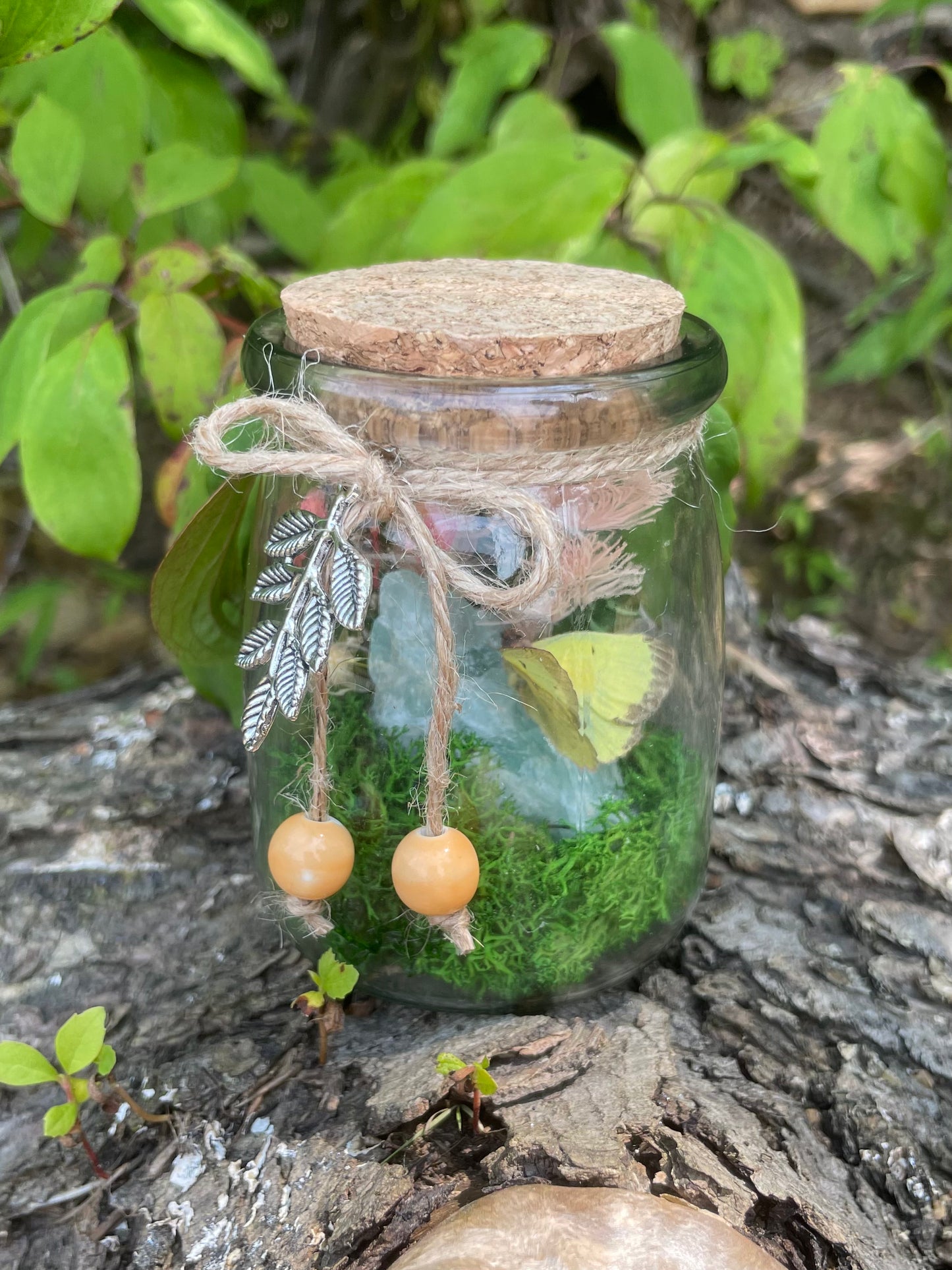 Green Flourite Butterfly Jar Displays