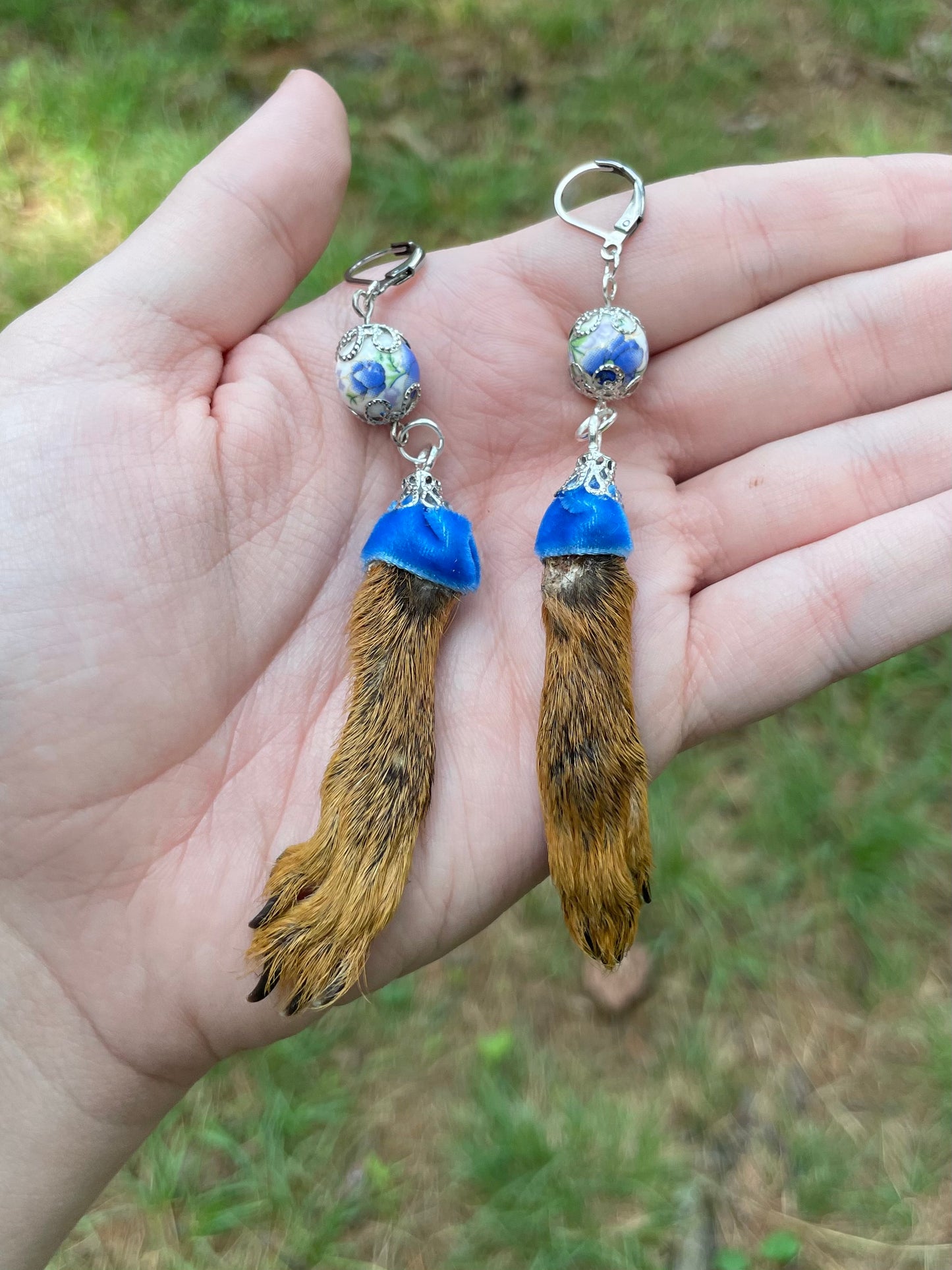 Royal Blue Mummified Red Squirrel Paw Earrings