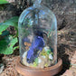 Iridescent Mink Skull, Beetle, and Butterfly Geode Cloche Display