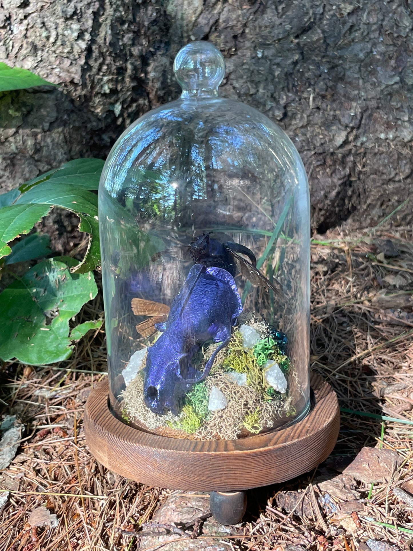 Iridescent Mink Skull, Beetle, and Butterfly Geode Cloche Display